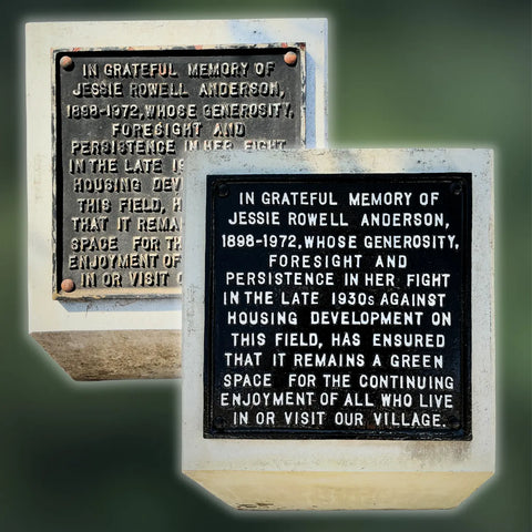 Plaque Restoration GraveClean